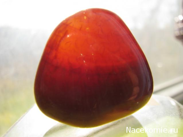 Энергия камней №31 Сердолик (окатанный камень) фото, обсуждение