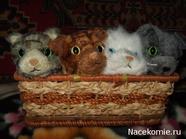 The Cat Collection № 4 Рыжий кот Фото