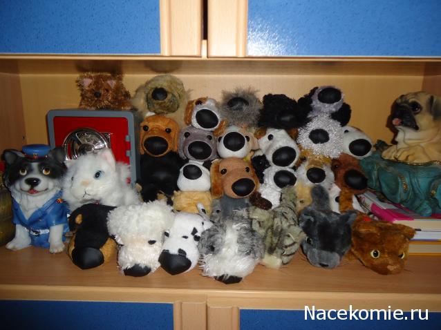 The Dog Collection 2010 - График Выхода и обсуждение