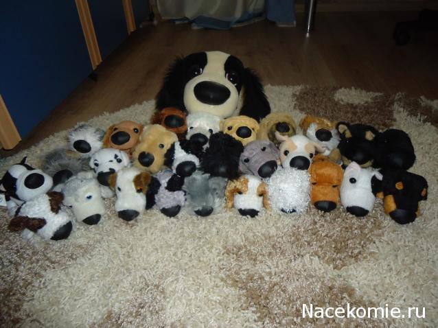 The Dog Collection 2010 - График Выхода и обсуждение