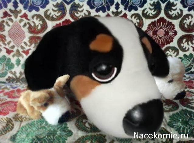 The Dog Collection 2010 - График Выхода и обсуждение