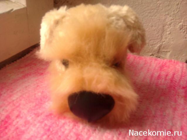 The Dog Collection 2010 - График Выхода и обсуждение