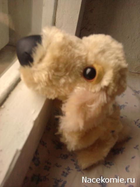 The Dog Collection 2010 - График Выхода и обсуждение