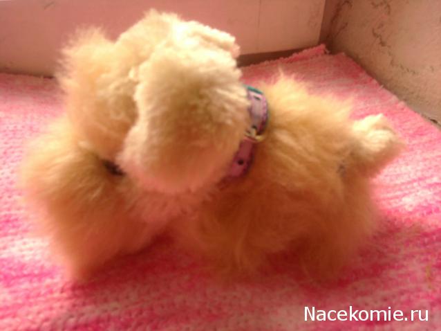 The Dog Collection 2010 - График Выхода и обсуждение