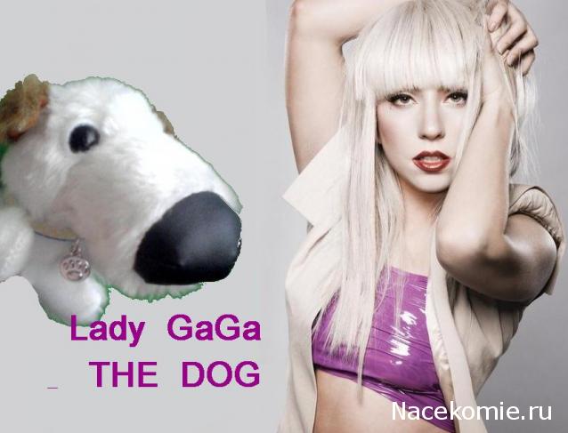 The Dog Collection 2010 - График Выхода и обсуждение