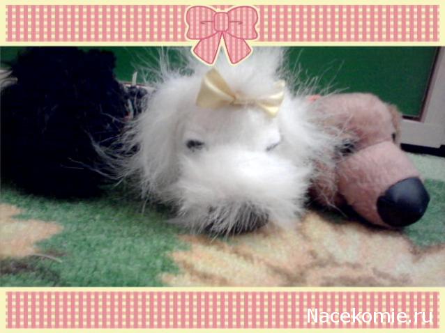 The Dog Collection 2010 - График Выхода и обсуждение