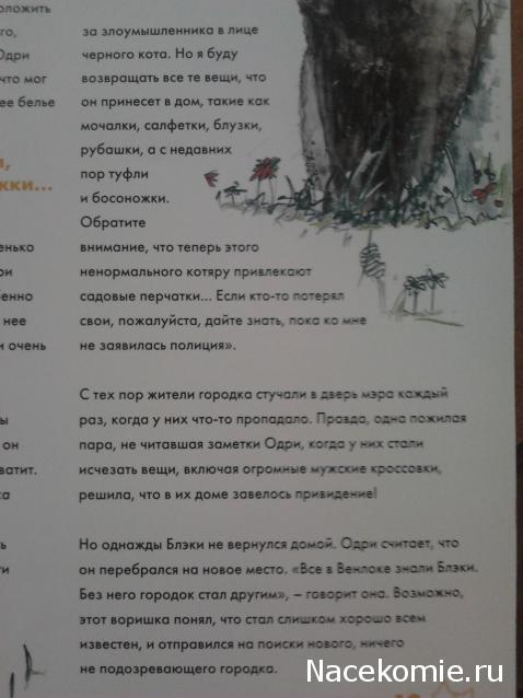 The Cat Collection № 4 Рыжий кот Фото