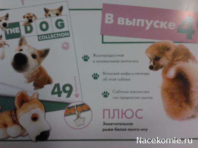 The Dog Collection №47 Афганская борзая