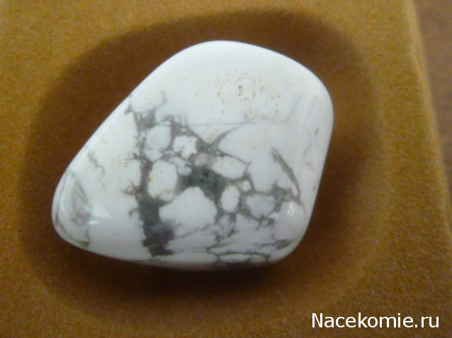 Энергия камней № 38 Говлит (окатанный камень) фото, обсуждение