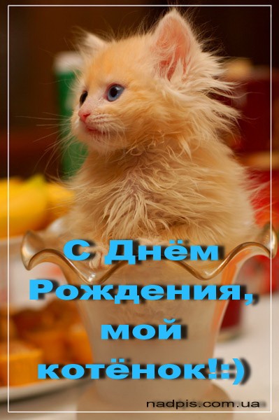 "ВСЕ ПРАЗДНИКИ" (Государственные. Народные. Дни рождения.)