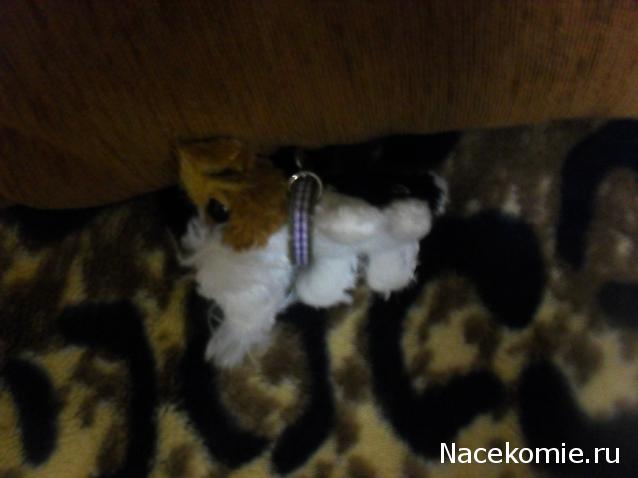 The Dog Collection 2010 - График Выхода и обсуждение