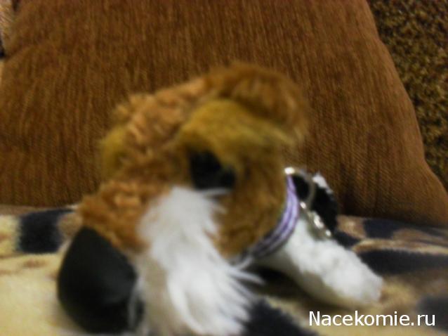 The Dog Collection 2010 - График Выхода и обсуждение