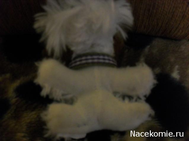 The Dog Collection 2010 - График Выхода и обсуждение