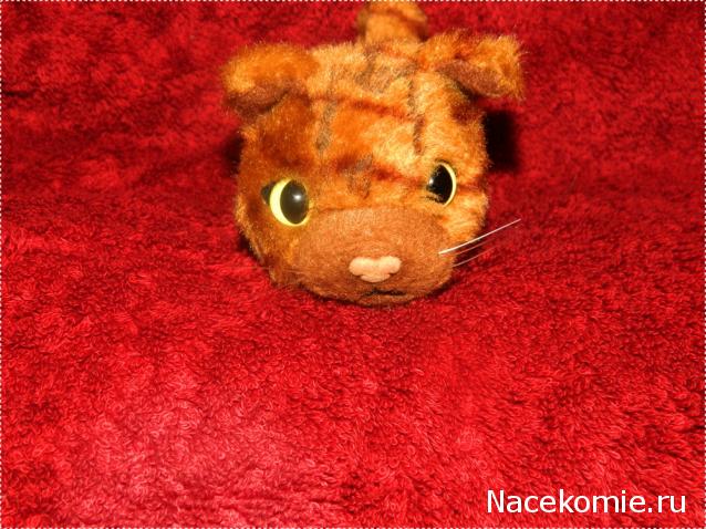 The Cat Collection № 4 Рыжий кот Фото