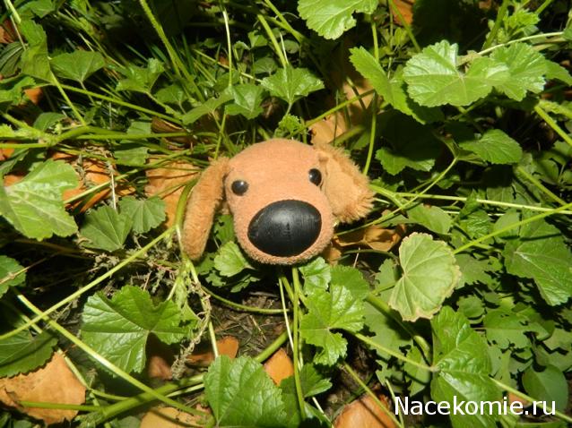 The Dog Collection 2010 - График Выхода и обсуждение