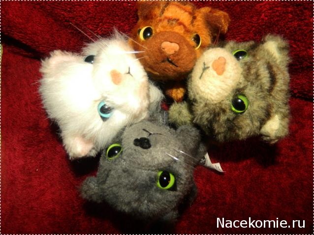 The Cat Collection № 4 Рыжий кот Фото