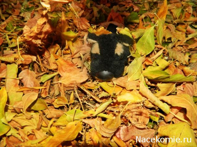 The Dog Collection 2010 - График Выхода и обсуждение