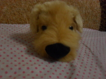 The Dog Collection 2010 - График Выхода и обсуждение