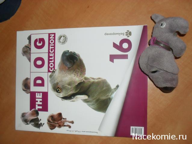 The Dog Collection 2010 - График Выхода и обсуждение