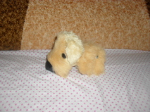 The Dog Collection 2010 - График Выхода и обсуждение