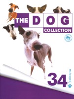 The Dog Collection 2010 - График Выхода и обсуждение