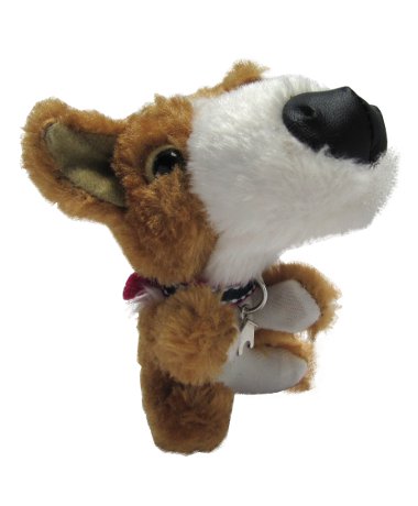 The Dog Collection 2010 - График Выхода и обсуждение