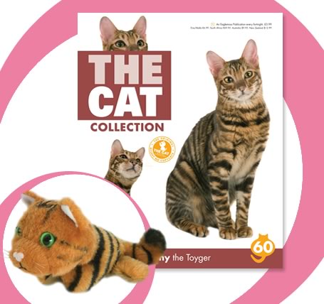 The Cat Collection График Выхода, обсуждение серии