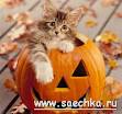 "ВСЕ ПРАЗДНИКИ" (Государственные. Народные. Дни рождения.)