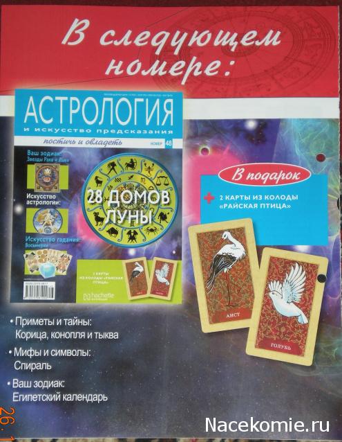 Астрология и Искусство Предсказания - График Выхода и обсуждение