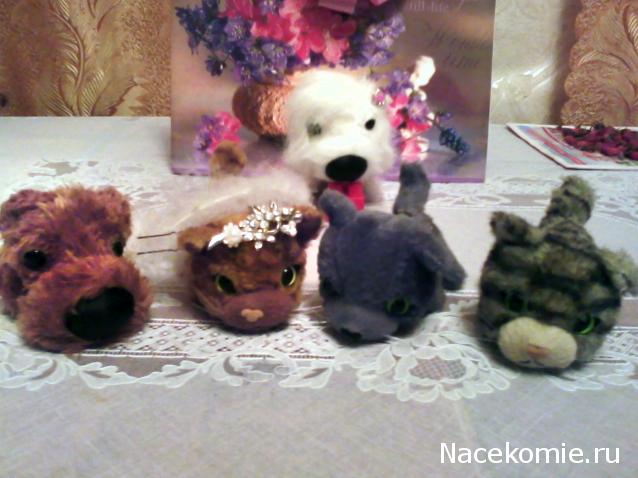 The Cat Collection График Выхода, обсуждение серии
