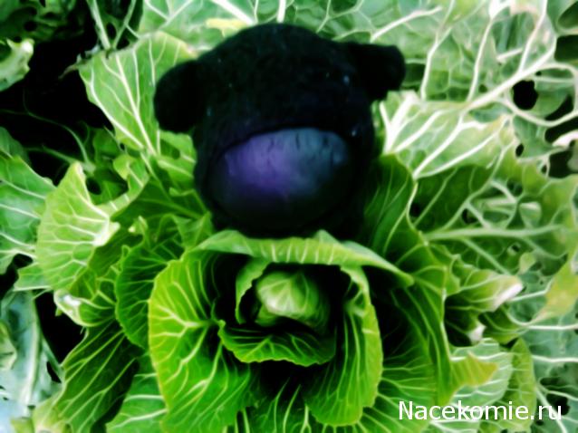 The Dog Collection 2010 - График Выхода и обсуждение