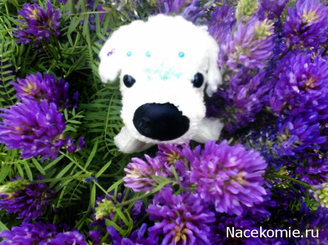 The Dog Collection 2010 - График Выхода и обсуждение