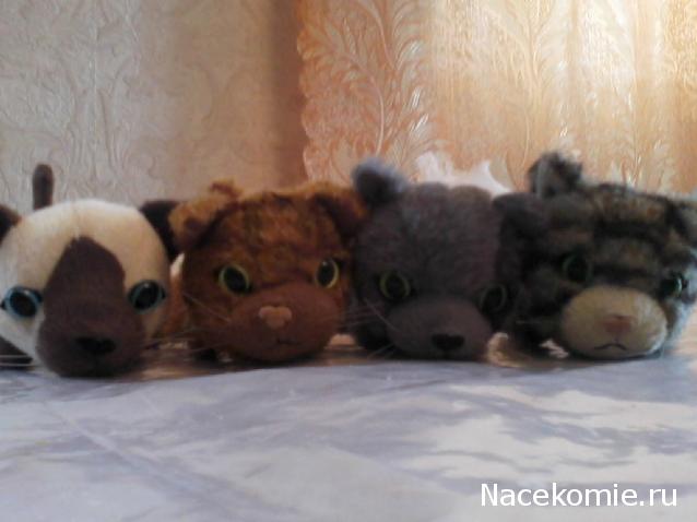 The Cat Collection График Выхода, обсуждение серии