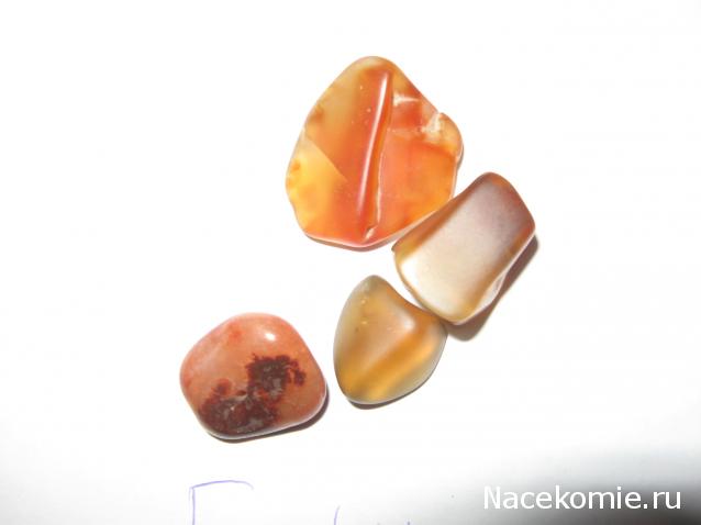 Минералы Сокровища Земли (2009) - График Выхода и обсуждение