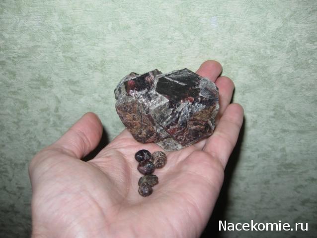 Минералы Сокровища Земли (2009) - График Выхода и обсуждение