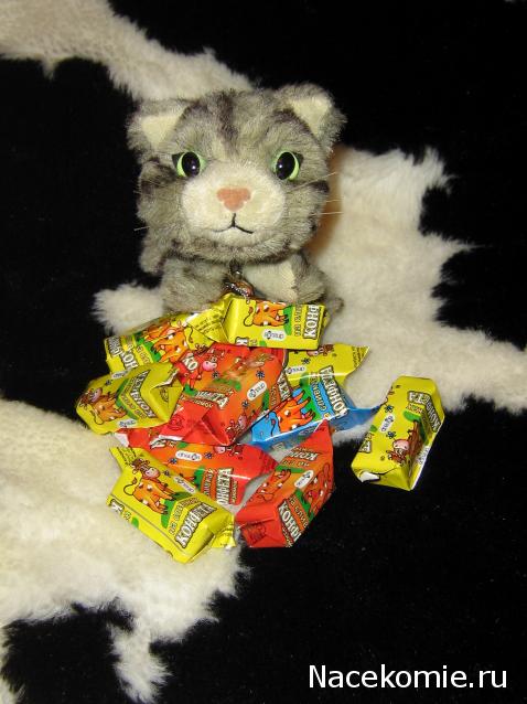 The Cat Collection График Выхода, обсуждение серии