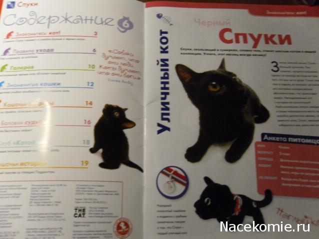 The Cat Collection №6 Чёрный кот Фото