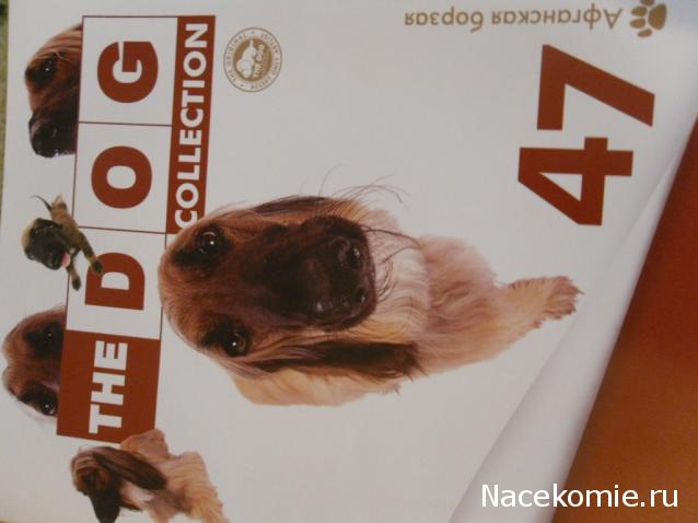 The Dog Collection №47 Афганская борзая