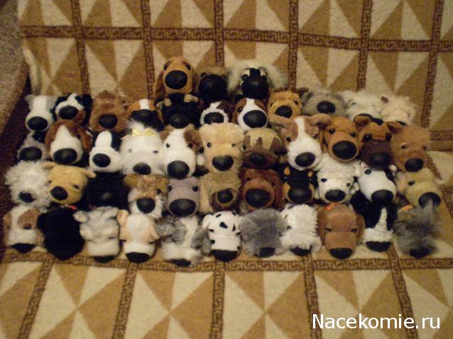 The Dog Collection 2010 - График Выхода и обсуждение