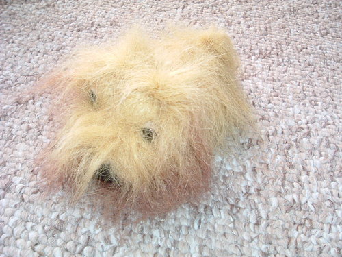 The Dog Collection 2010 - График Выхода и обсуждение