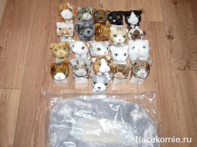 The Cat Collection График Выхода, обсуждение серии