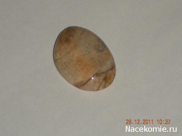 Энергия камней № 49 Древесный опал (окатанный камень) фото, обсуждение