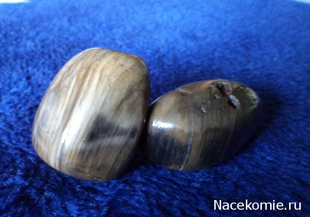 Энергия камней № 49 Древесный опал (окатанный камень) фото, обсуждение