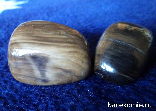 Энергия камней № 49 Древесный опал (окатанный камень) фото, обсуждение