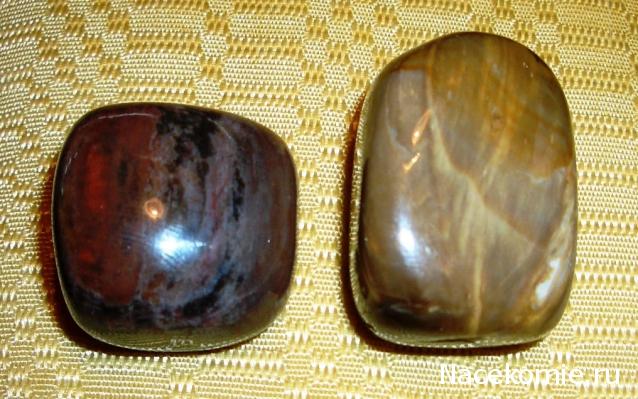 Энергия камней № 49 Древесный опал (окатанный камень) фото, обсуждение