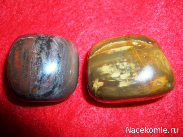 Энергия камней № 49 Древесный опал (окатанный камень) фото, обсуждение