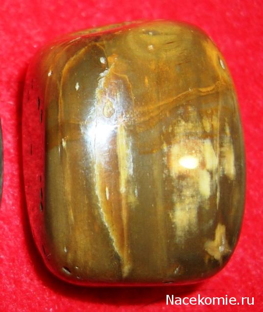 Энергия камней № 49 Древесный опал (окатанный камень) фото, обсуждение