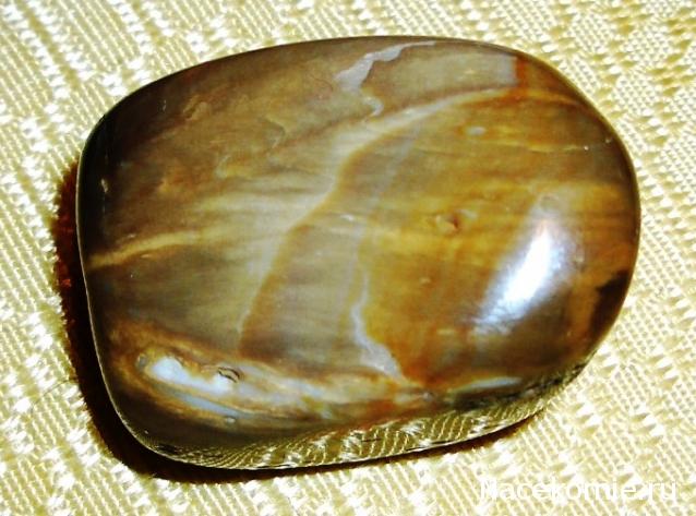 Энергия камней № 49 Древесный опал (окатанный камень) фото, обсуждение