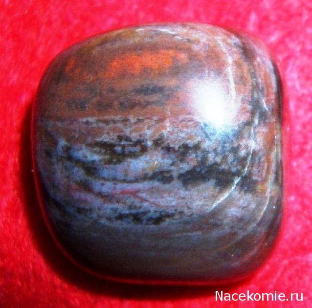 Энергия камней № 49 Древесный опал (окатанный камень) фото, обсуждение