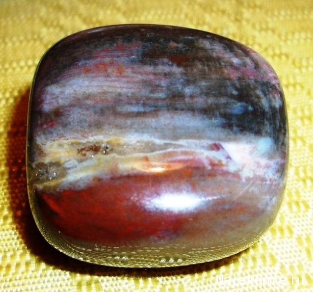 Энергия камней № 49 Древесный опал (окатанный камень) фото, обсуждение